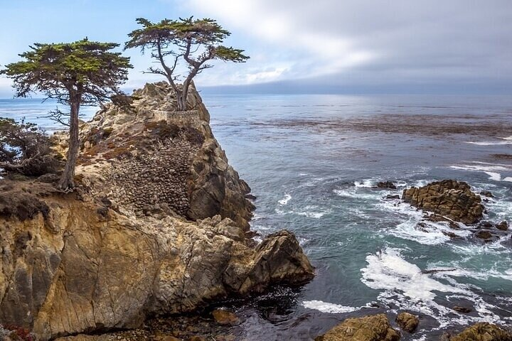 Lone Cypress 17 Miles Dr.